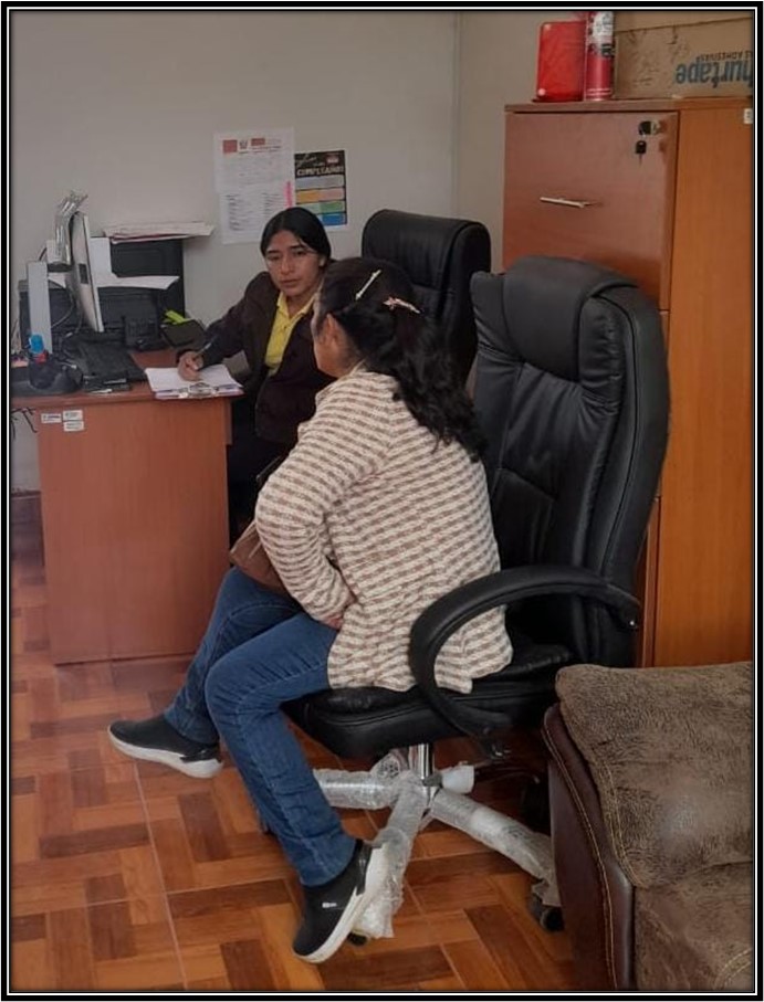 Ejemplo Perfil